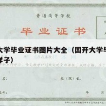 国开大学毕业证书图片大全（国开大学毕业证什么样子）