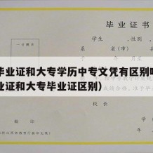 中专毕业证和大专学历中专文凭有区别吗（中专毕业证和大专毕业证区别）