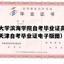 南开大学滨海学院自考毕业证高清样本（天津自考毕业证电子版图）