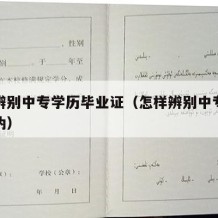 如何辨别中专学历毕业证（怎样辨别中专毕业证真伪）