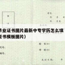 中专毕业证书图片最新中专学历怎么填（中专毕业证书模板图片）