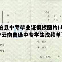 双柏县中专毕业证模板图片(1991年云南普通中专学生成绩单）