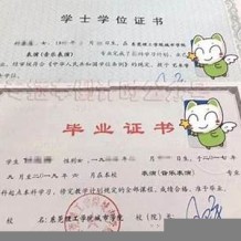 广州理工学院毕业证(大学毕业证样本_图片_模板)_历任校长