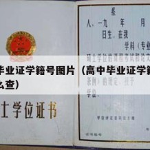 高中毕业证学籍号图片（高中毕业证学籍号图片怎么查）