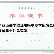 中专毕业证是学位证书吗中专学历怎么填（中专毕业证属于什么类型）