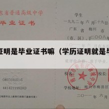 学历证明是毕业证书嘛（学历证明就是毕业证吗）