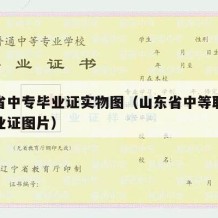 山东省中专毕业证实物图（山东省中等职业学校毕业证图片）