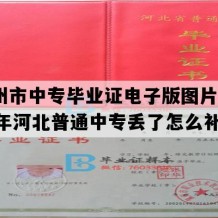 沧州市中专毕业证电子版图片(1997年河北普通中专丢了怎么补）