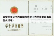 大学毕业证书内容图片大全（大学毕业证书长什么样子）