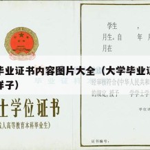 大学毕业证书内容图片大全（大学毕业证书长什么样子）