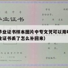 中专毕业证书样本图片中专文凭可以用吗（中专毕业证书丢了怎么补回来）