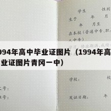 1994年高中毕业证图片（1994年高中毕业证图片青冈一中）