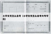 小学文凭怎么自考（小学文凭怎么自考大专学历）