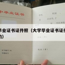 大学毕业证书证件照（大学毕业证书证件照是几寸的）