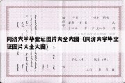 同济大学毕业证图片大全大图（同济大学毕业证图片大全大图）