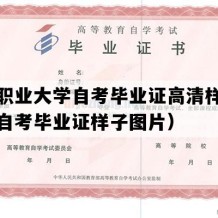 新疆职业大学自考毕业证高清样本（新疆自考毕业证样子图片）