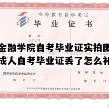 广东金融学院自考毕业证实拍图片（广东成人自考毕业证丢了怎么补办）