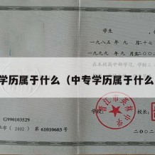 中专学历属于什么（中专学历属于什么阶段）