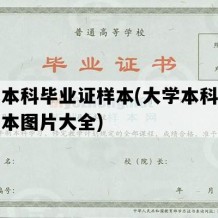 大学本科毕业证样本(大学本科毕业证样本图片大全)