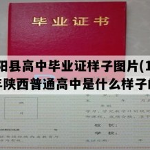 合阳县高中毕业证样子图片(1992年陕西普通高中是什么样子的）