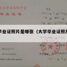 大学毕业证照片是哪张（大学毕业证照片是哪张的）