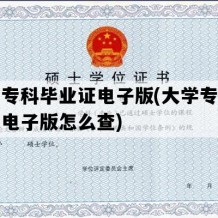 大学专科毕业证电子版(大学专科毕业证电子版怎么查)