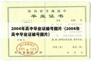 2004年高中毕业证编号图片（2004年高中毕业证编号图片）