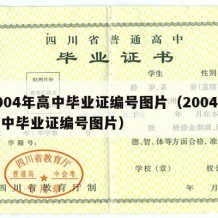 2004年高中毕业证编号图片（2004年高中毕业证编号图片）