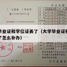 大学毕业证和学位证丢了（大学毕业证和学位证丢了怎么补办）