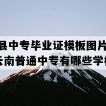 江城县中专毕业证模板图片(1996年云南普通中专有哪些学校)