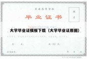 大学毕业证模板下载（大学毕业证原图）