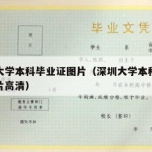 深圳大学本科毕业证图片（深圳大学本科毕业证图片高清）