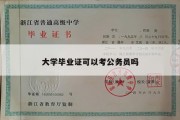 大学毕业证可以考公务员吗