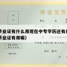 中专毕业证有什么用现在中专学历还有用吗（中专毕业证有用嘛）