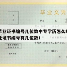 中专毕业证书编号几位数中专学历怎么填（中专毕业证书编号有几位数）