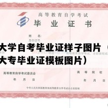 兰州大学自考毕业证样子图片（甘肃自考大专毕业证模板图片）