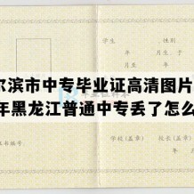 哈尔滨市中专毕业证高清图片(1996年黑龙江普通中专丢了怎么补）