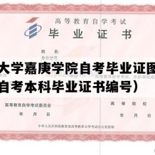 厦门大学嘉庚学院自考毕业证图片（福建自考本科毕业证书编号）