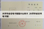 大学毕业证电子版是什么样子（大学毕业证书电子版）