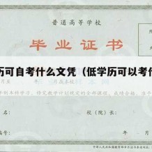 低学历可自考什么文凭（低学历可以考什么证书）