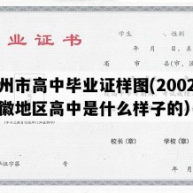 亳州市高中毕业证样图(2002年安徽地区高中是什么样子的）