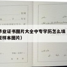 中专毕业证书图片大全中专学历怎么填（中专毕业证样本图片）