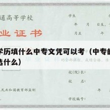 中专学历填什么中专文凭可以考（中专的学历类别选什么）