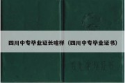 四川中专毕业证长啥样（四川中专毕业证书）