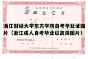 浙江财经大学东方学院自考毕业证图片（浙江成人自考毕业证高清图片）