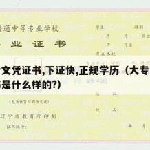 大专文凭证书,下证快,正规学历（大专学历证书是什么样的?）