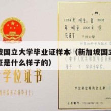 新加坡国立大学毕业证样本（新加坡国立大学毕业证是什么样子的）