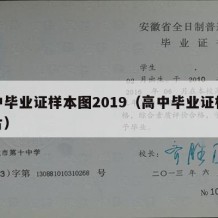 高中毕业证样本图2019（高中毕业证样本图片）