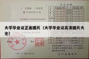 大学毕业证正面图片（大学毕业证高清图片大全）