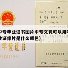 最新中专毕业证书图片中专文凭可以用吗（中专毕业证像片是什么颜色）